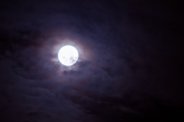 Полнолуние полночь