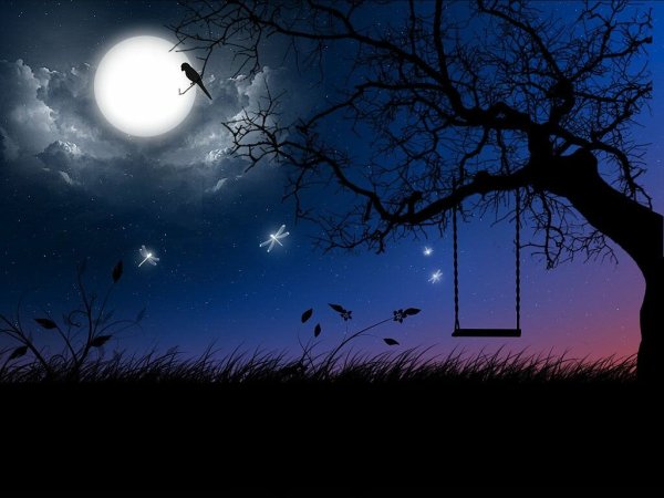 Красивая полночь