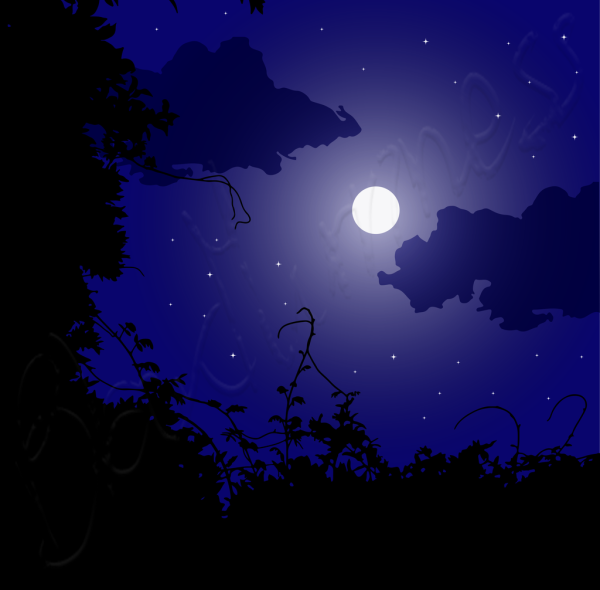 Красивая полночь