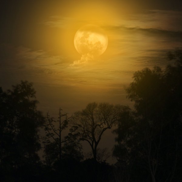 Ночное небо с луной