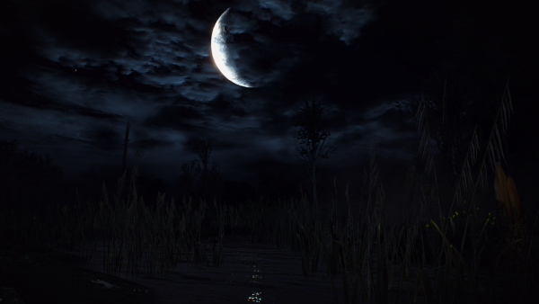 Ведьмак 3 ночь Луна