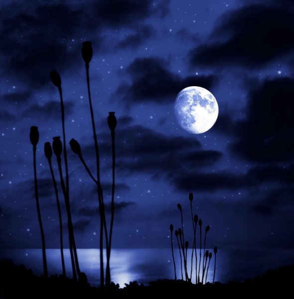 Полночь Луна