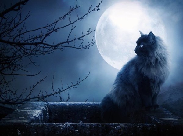 Луна мистика