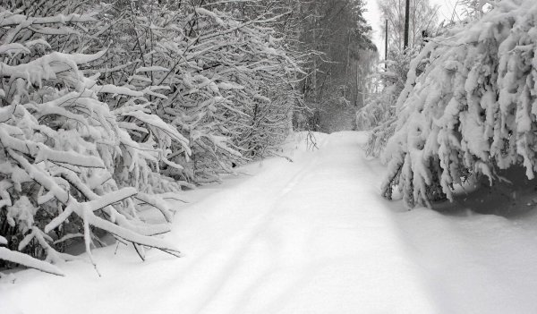 Занесенная снегом дорога