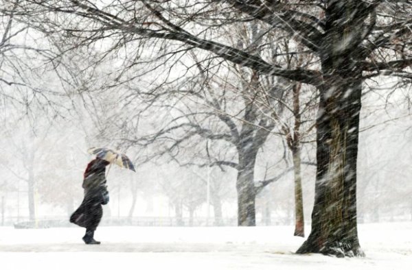 Сильный ветер зима