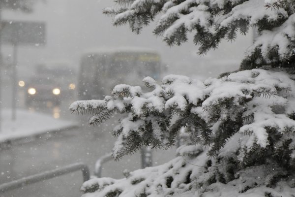 Метель мокрый снег