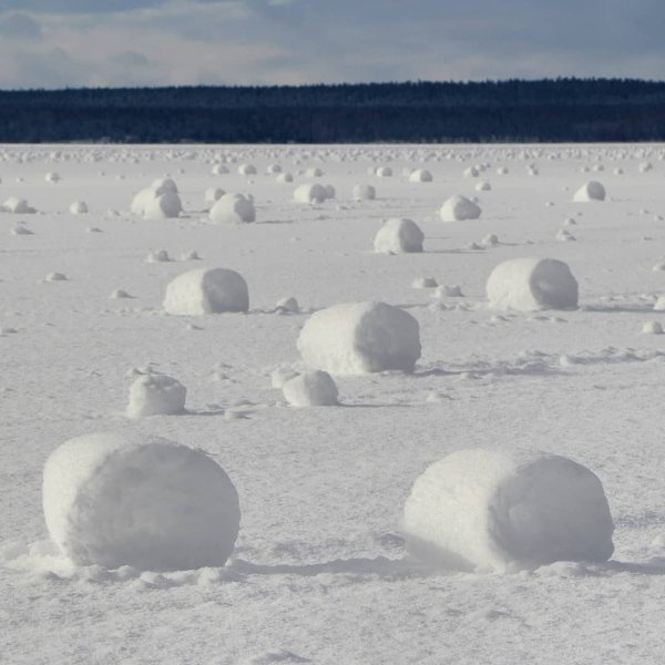 Снежные рулоны природное явление