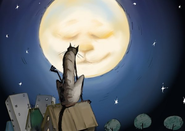 Кот воет на луну