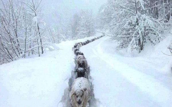 Приколы про зиму