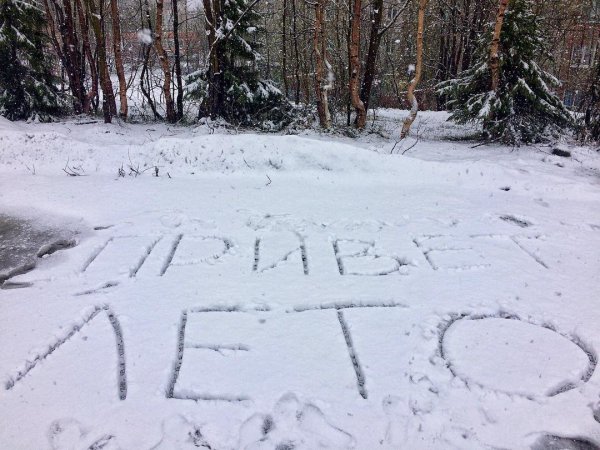 Надпись на снегу