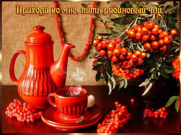 Доброе утро рябина чай