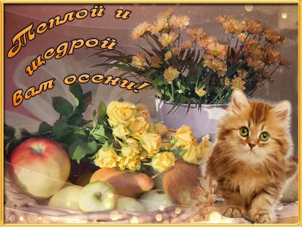 Открытки с теплыми пожеланиями