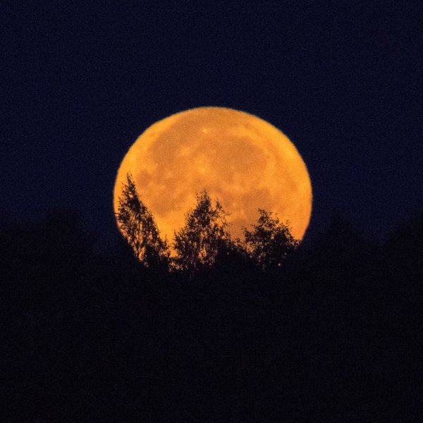 Заходящая Луна