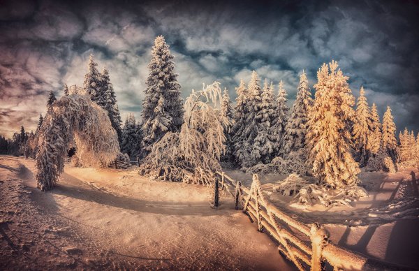 Зимняя природа