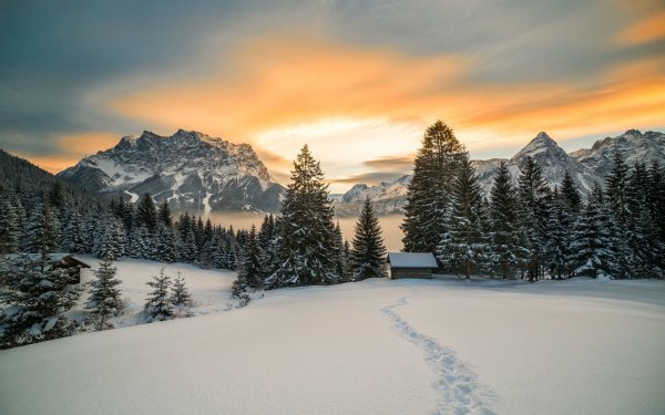 Зимний лес горы