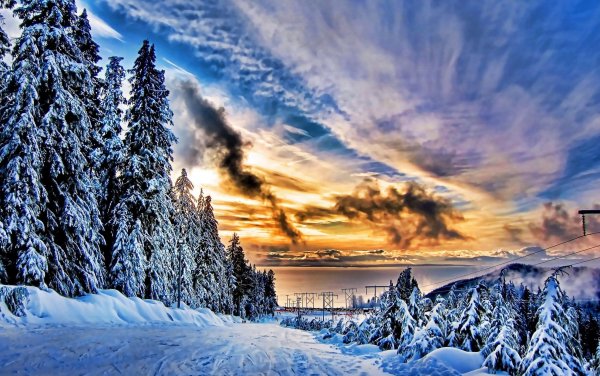 Зимняя природа
