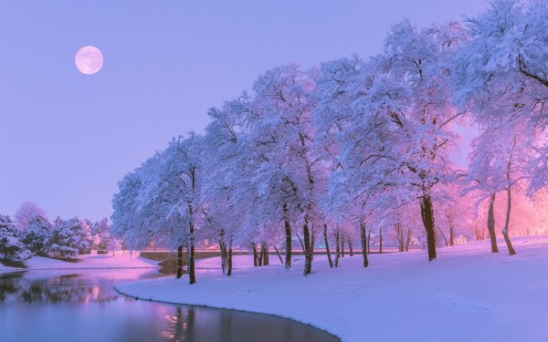 Красивая зима