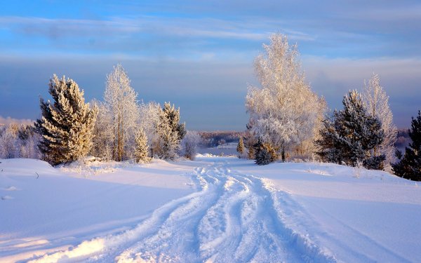 Снежный пейзаж