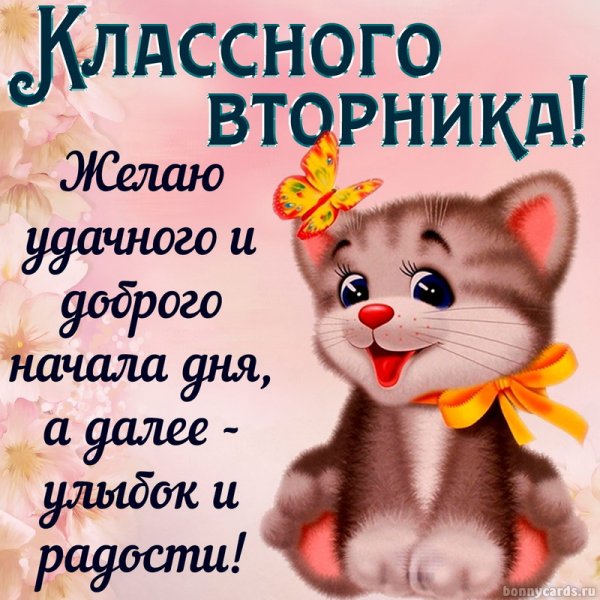 Пожелания на вторник