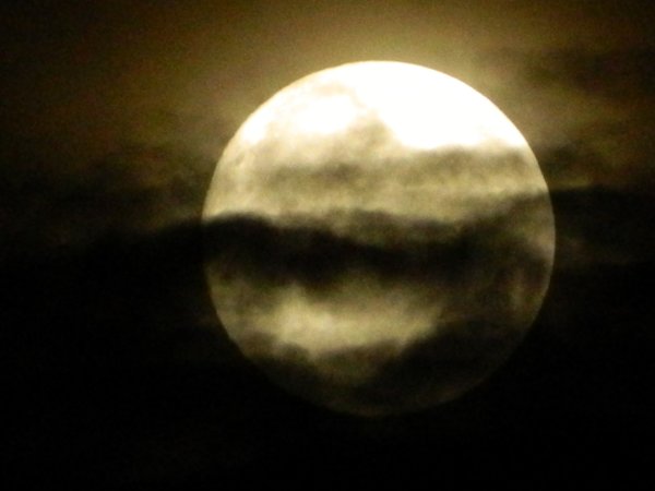 Луна сквозь тучи мрачные желтела