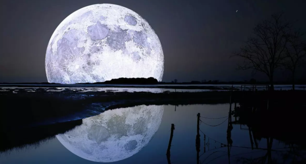 Кевин Грант Лунная Луна