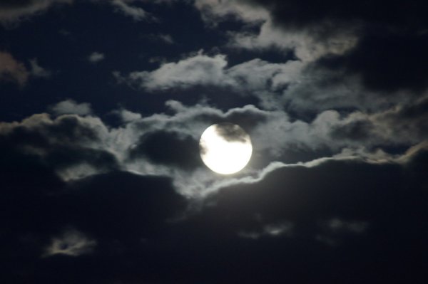 Мутная Луна