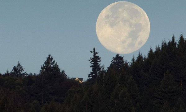 Дневная Луна