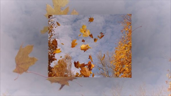 Листопад листья кружатся летят