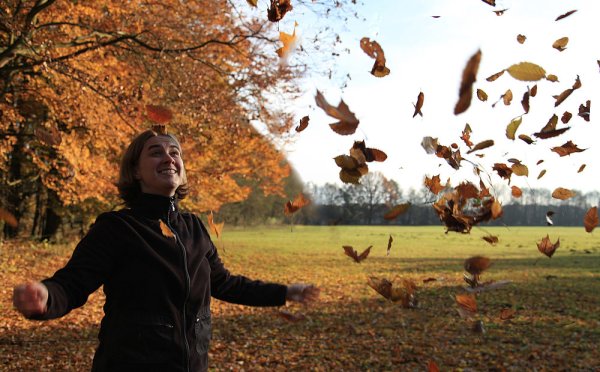 Ветер в осеннем лесу