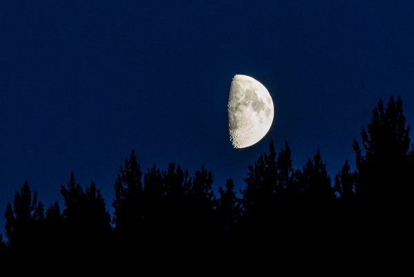 Физическая природа Луны
