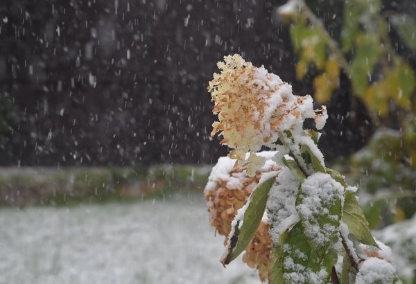 Мокрый снег