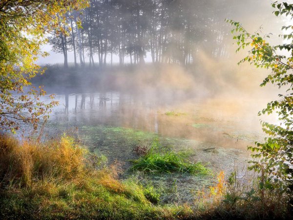 Осень туман