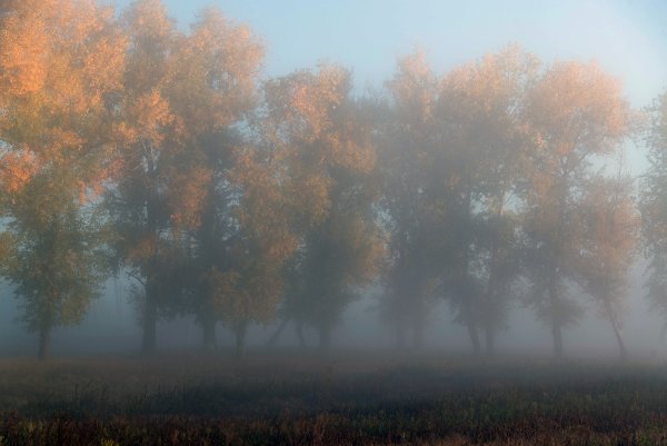 Туманное осеннее утро
