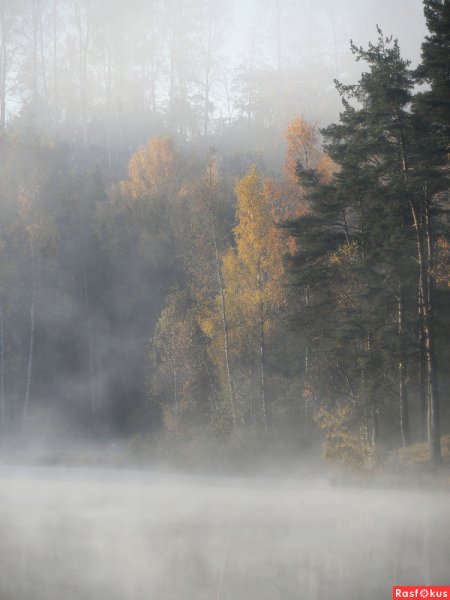 Туманное утро
