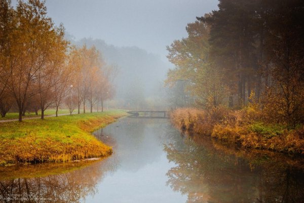 Ранняя осень туман
