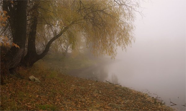 Туманное осеннее утро