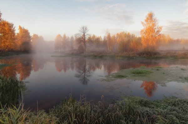 Утро на реке осенью