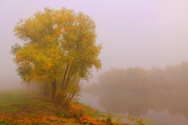 Ранняя осень туман
