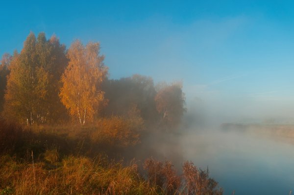 Осенний туман
