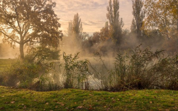 Ранняя осень туман