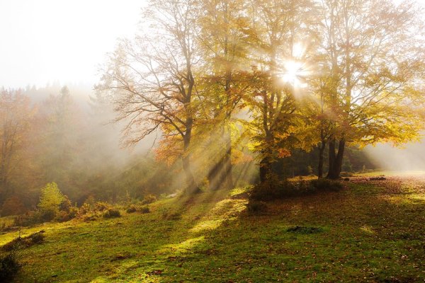 Осеннее солнце