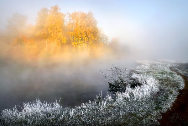 Туман осенью