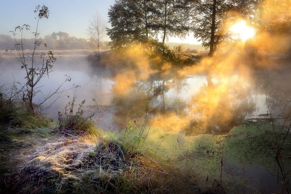 Туманное утро