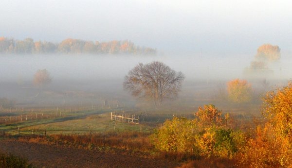 Туман на полях осенью
