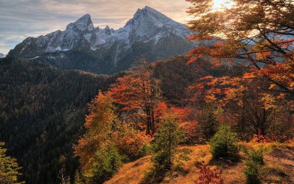 Осенний лес в горах