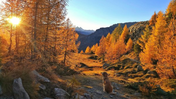 Осень в горах