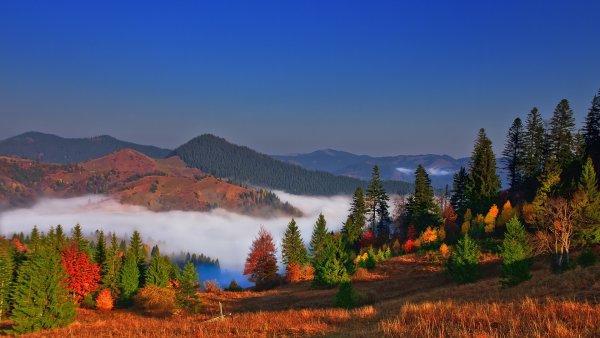 Гора Буковина Карпаты