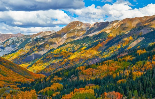 Штат Колорадо леса