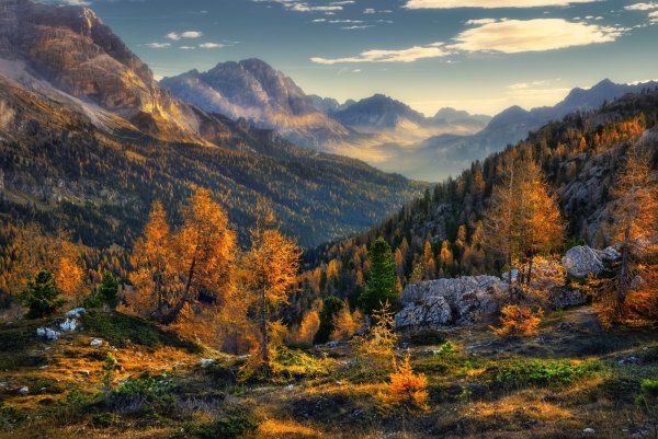 Осенний лес в горах