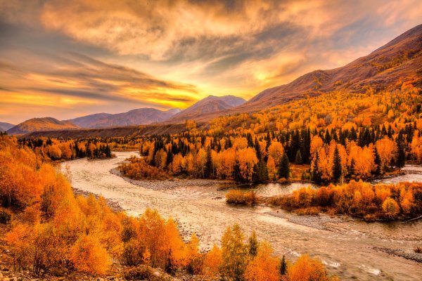 Золотая осень в лесу горы